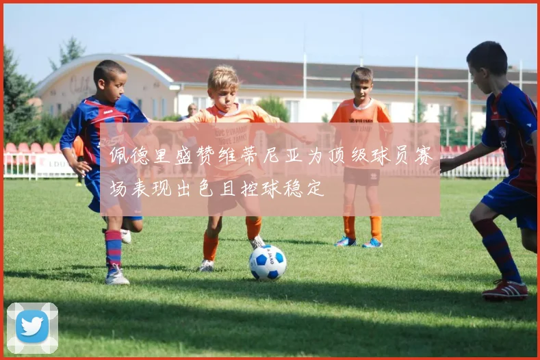 佩德里盛赞维蒂尼亚为顶级球员赛场表现出色且控球稳定
