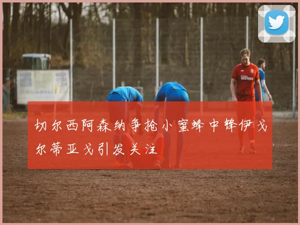 切尔西阿森纳争抢小蜜蜂中锋伊戈尔蒂亚戈引发关注